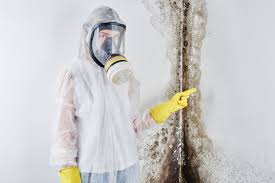 Best Mold Remediation for Healthcare Facilities  in Clear Lake, WI